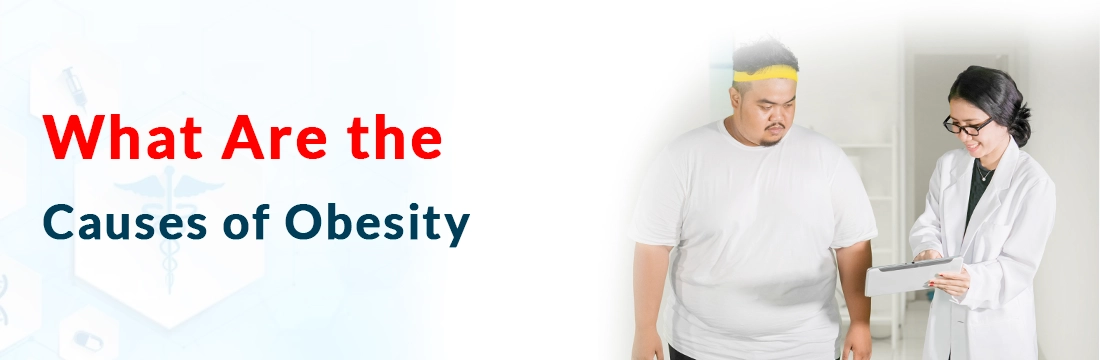 What Are the Causes of Obesity